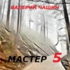 «Мастер 5» Валерий Чащин