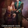 «Сбежавшая пара Повелителя арканов» Алекс Найт