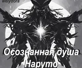 «Осознанная душа: Наруто» Welydora