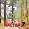 «Мастер 7» Валерий Чащин