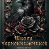 «Школа чернокнижников. Тёмная метка» Матильда Старр